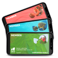 BNT-Membership-Cards-Mockup
