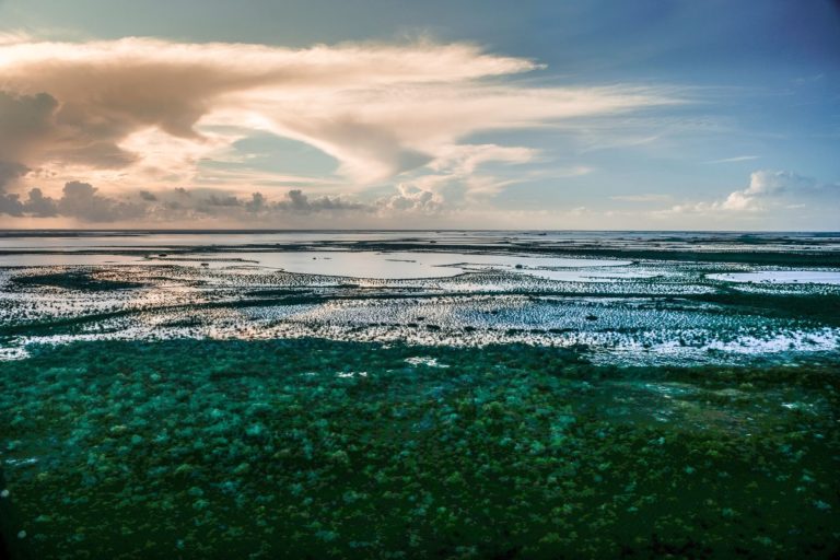 Andros Bahamas National Trust Andros Bahamas National Trust