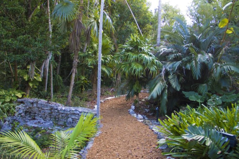 The Retreat Garden Bahamas National Trust