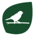 Birdwatching-Dark-Green