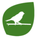 Birdwatching-Icon-Green