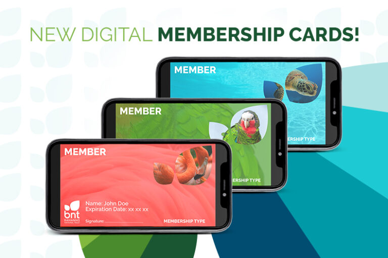 BNT Introduces New Digital Membership Cards Bahamas National Trust