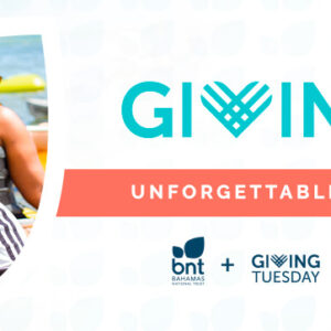 Giving Tuesday 2025 Donation - $1000 Gift