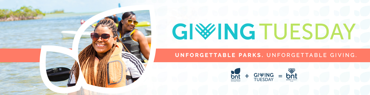 GivingTuesday_Webpage-Header Updated