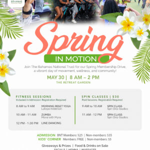 Spring in Motion