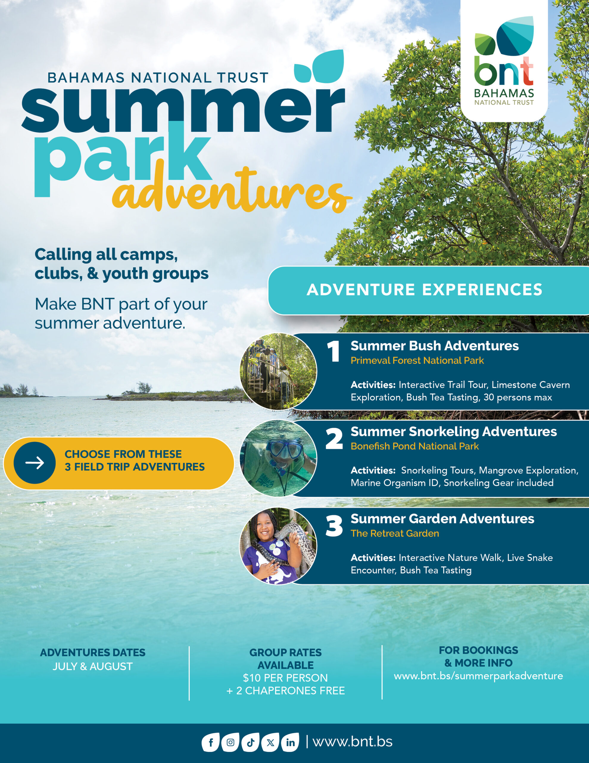 BNT Summer Park Adventures