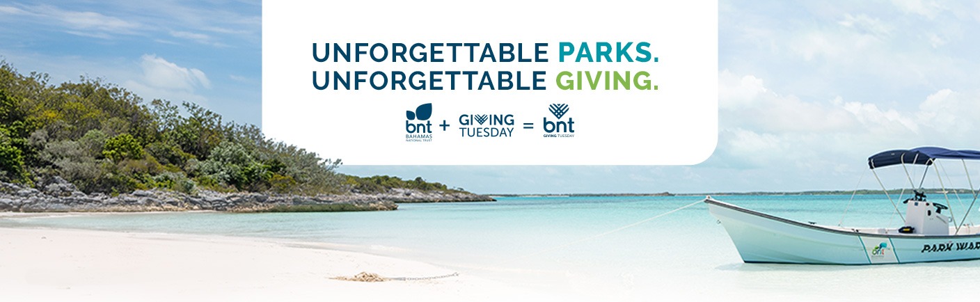 GivingTuesday_Webpage-Header2